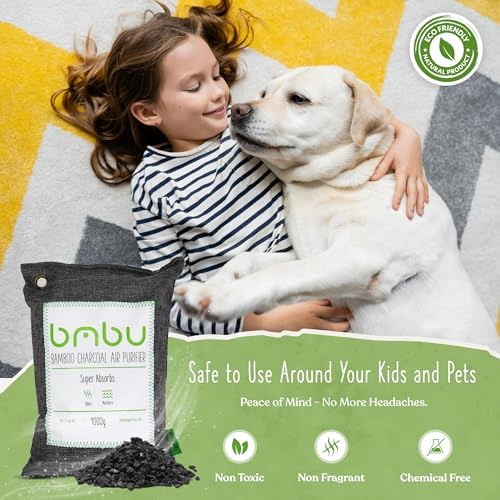 1000g Large Bamboo Charcoal Air Purifier Bag - Car Deodorizer/Freshener - Remove Odor & Control Moisture in RV, Camper, SUV, Truck, Closet, Mobile Home, Storage - Non-Fragrant 1kg