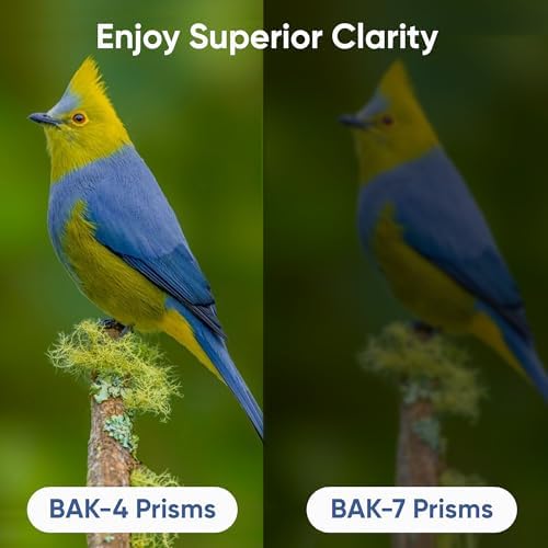 10x25 Compact Binoculars for Adults & Kids - Mini & Lightweight Binoculars for Bird Watching, Hiking, Theater, Concert, Hunting, Birdwatching & Sports - High Powered Binoculars with BAK4 Prism