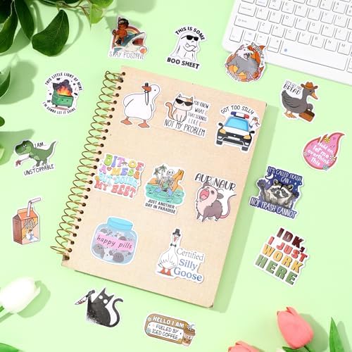 150 Pcs Funny Stickers for Adults Funny Water Bottles Stickers Pack Waterproof Cool Stickers for Laptop, Bumper, Phone, Hard Hats, Wall, Window Decals Decors, 150 Styles