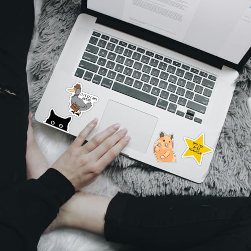 130 Pcs Funny Saying Stickers for Adults Quote Water Bottles Stickers Pack Waterproof Cool Stickers for Laptop, Bumper, Phone, Hard Hats, Wall, Window Decals